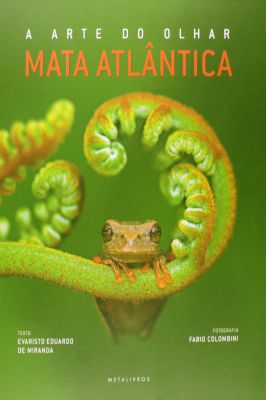 A Arte do Olhar - Mata Atlântica
