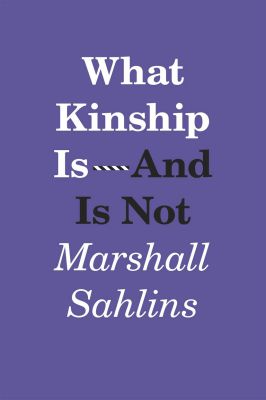 What Kinship Is-and is Not
