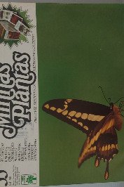 Minhas Plantas Volume 33- Zínia
