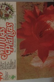 Minhas Plantas Volume 40- Epifilo