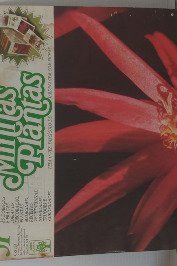 Minhas Plantas Volume 51- Flor-de-Seda