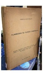Flambagem na Flexão Composta