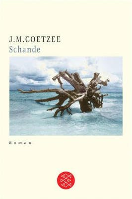 Schande -roman