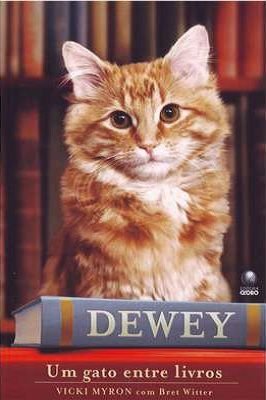 Dewey um Gato Entre Livros