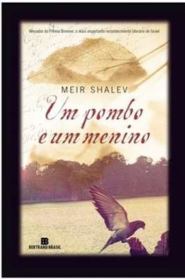 Um Pombo e um Menino