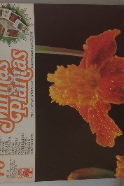 Minhas Plantas Volume 46- Epifilo