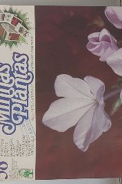 Minhas Plantas Volume 58- Bela- Emilia