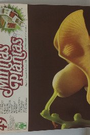 Minhas Plantas Volume 49- Sesbânia