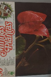 Minhas Plantas Volume 36- Primavera