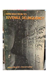 Introduction To Juvenile Delinquency de Mary Murrell e David Lester