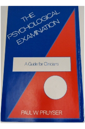 The Psychological Examination: A Guide For Clinicians