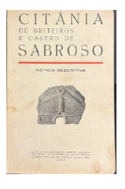 Citânia de Briteiros e Castro de Saboroso: Notícia Descritiva