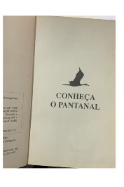 Conheça o Pantanal de Nicia Wendel de Magalhães