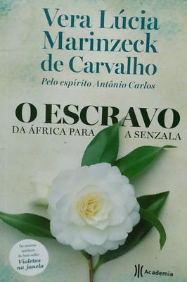 O Escravo da áfrica para a Senzala