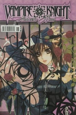 Vampire Knight - Vol 6