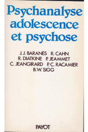 Psychanalyse Adolescence Et Psychose