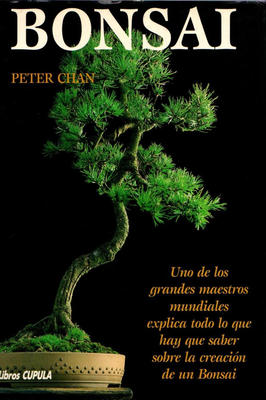 Bonsai - Em Espanhol