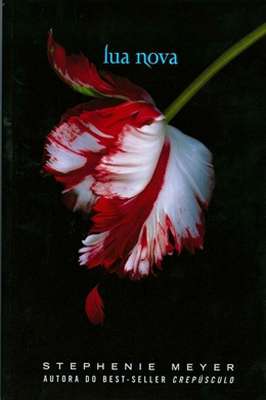 Lua Nova