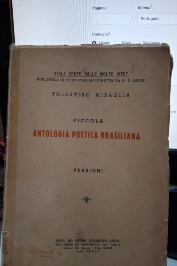 Antologia poetica brasiliana