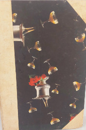 Anatomia e Physiologia Humanas - 1a edição - Autografada